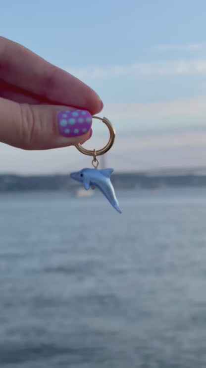 Disco Dolphin Charm